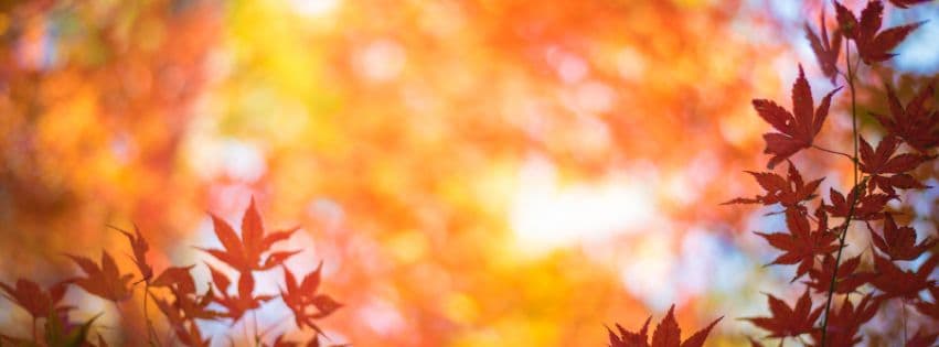 Herfst, de tijd voor verandering. Ook voor jou?